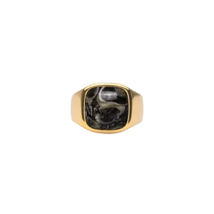 IX Cushion Signet Ring Turtle Agate