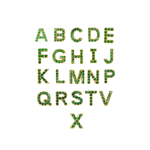 IX Letter Green Earring