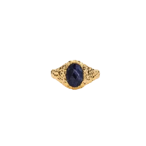 IX Crunchy Ornate Blue Sodalite Signet Ring
