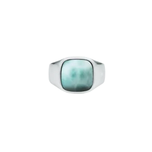 IX Cushion Signet Ring Larimar Silver