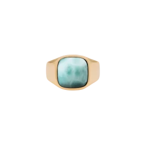 IX Cushion Signet Ring Larimar